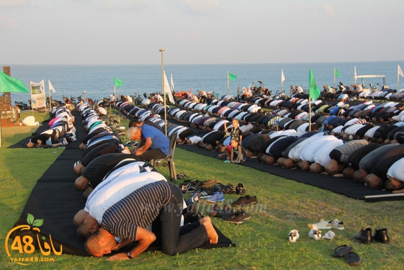 salah 3ed montahzah3 (86).JPG